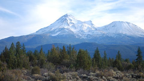 Mt. Shasta