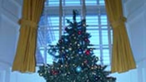 Advent and Christmas