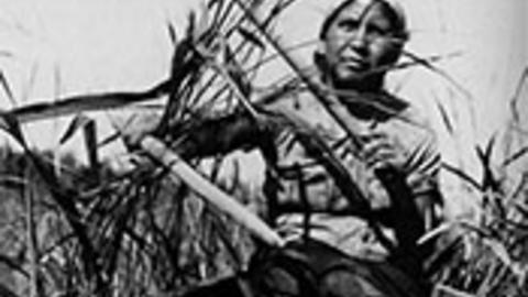 Anishinaabe Ojibwe Ways