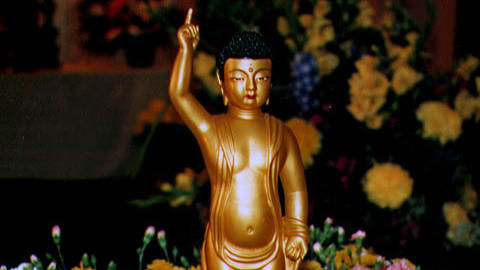 Buddha's Birthday