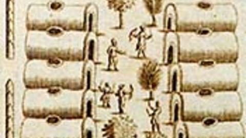 Haudenosaunee Iroquois Religion and Politics