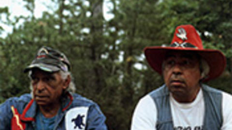 Identity and Tribal Recognition