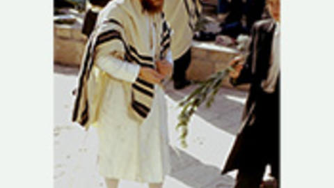 Kabbalah and Hasidim