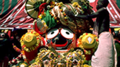 Krishna's Chariot Festival