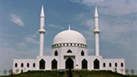 Mosque Minaret and Mihrab