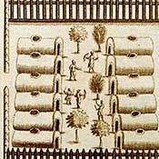Haudenosaunee Iroquois Religion and Politics